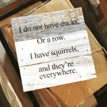 squirrels sign